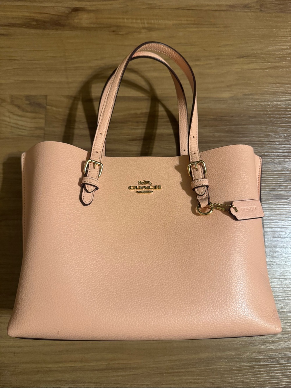 Coach Mollie Tote 25